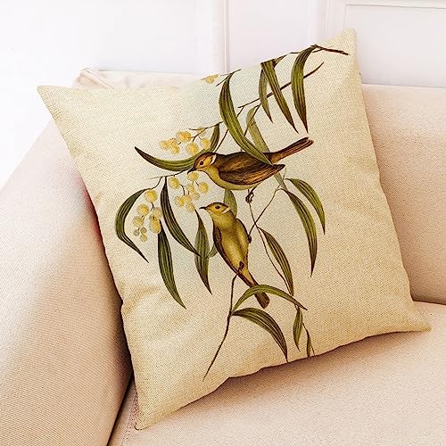Housse Taie Oreiller 45x45cm Kaki Flanelle Art Rétro Oiseau Personnalisé pour Adulte Transat Weekend