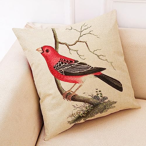 Housse Taie Oreiller 45x45cm Kaki Flanelle Art Rétro Oiseau Personnalisé pour Adulte Transat Weekend