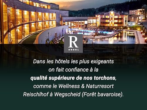 ZOLLNER Torchons de Cuisine Coton Bleu Blanc à Carreaux 45x90 cm OEKO-TEX_standard_100 Élégants pour la Cuisine